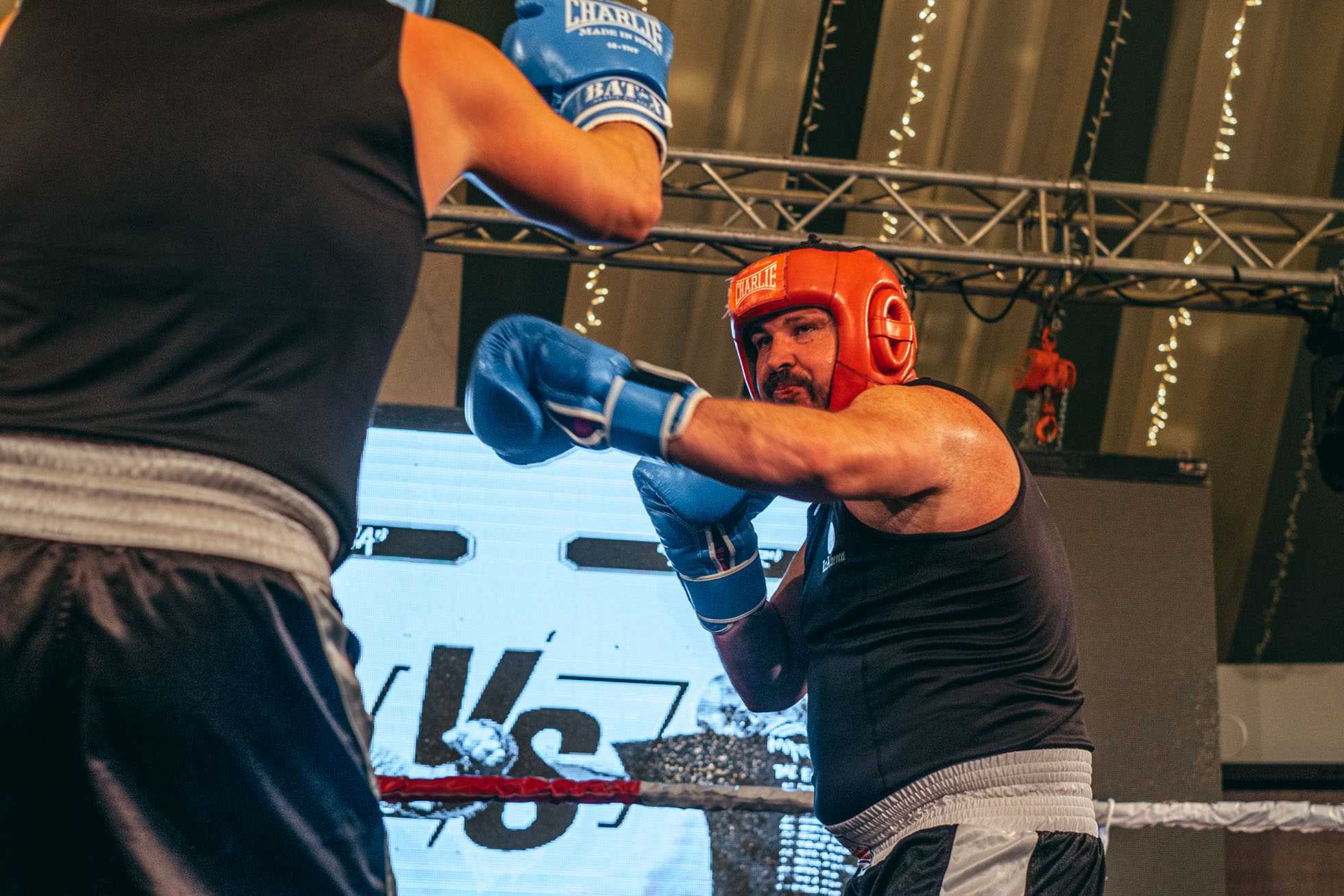 White Collar Jaén 2024